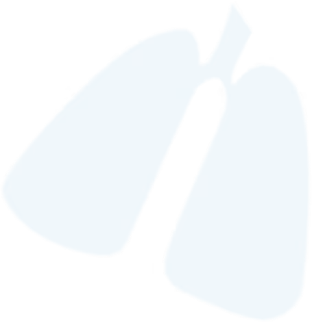 Heart Icon