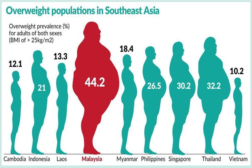 Obesity And Weight Loss